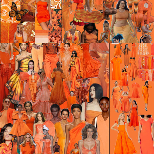 #YCSWU50+ : PUNTA CANA 2026